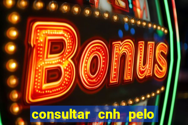 consultar cnh pelo cpf sp